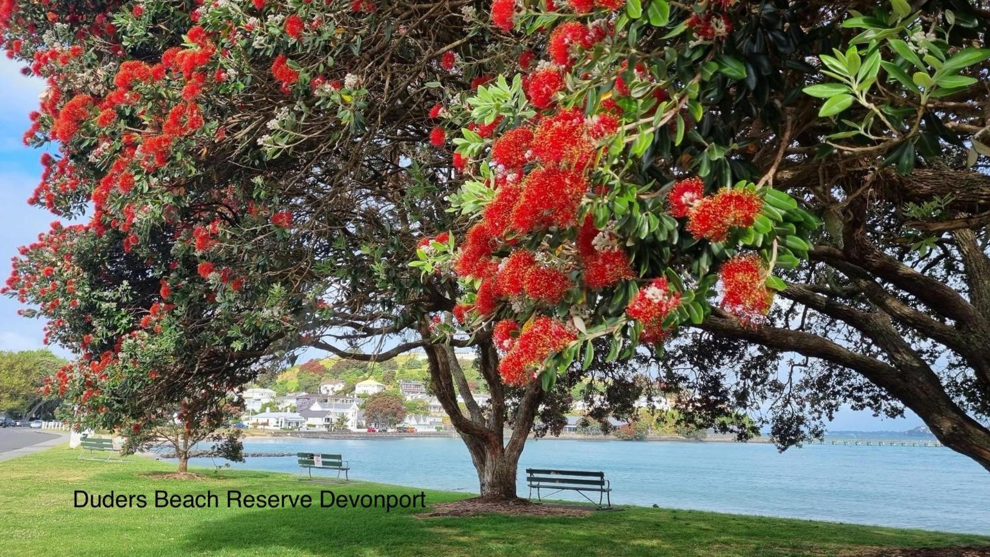 The Partchery Devonport أوكلاند المظهر الخارجي الصورة